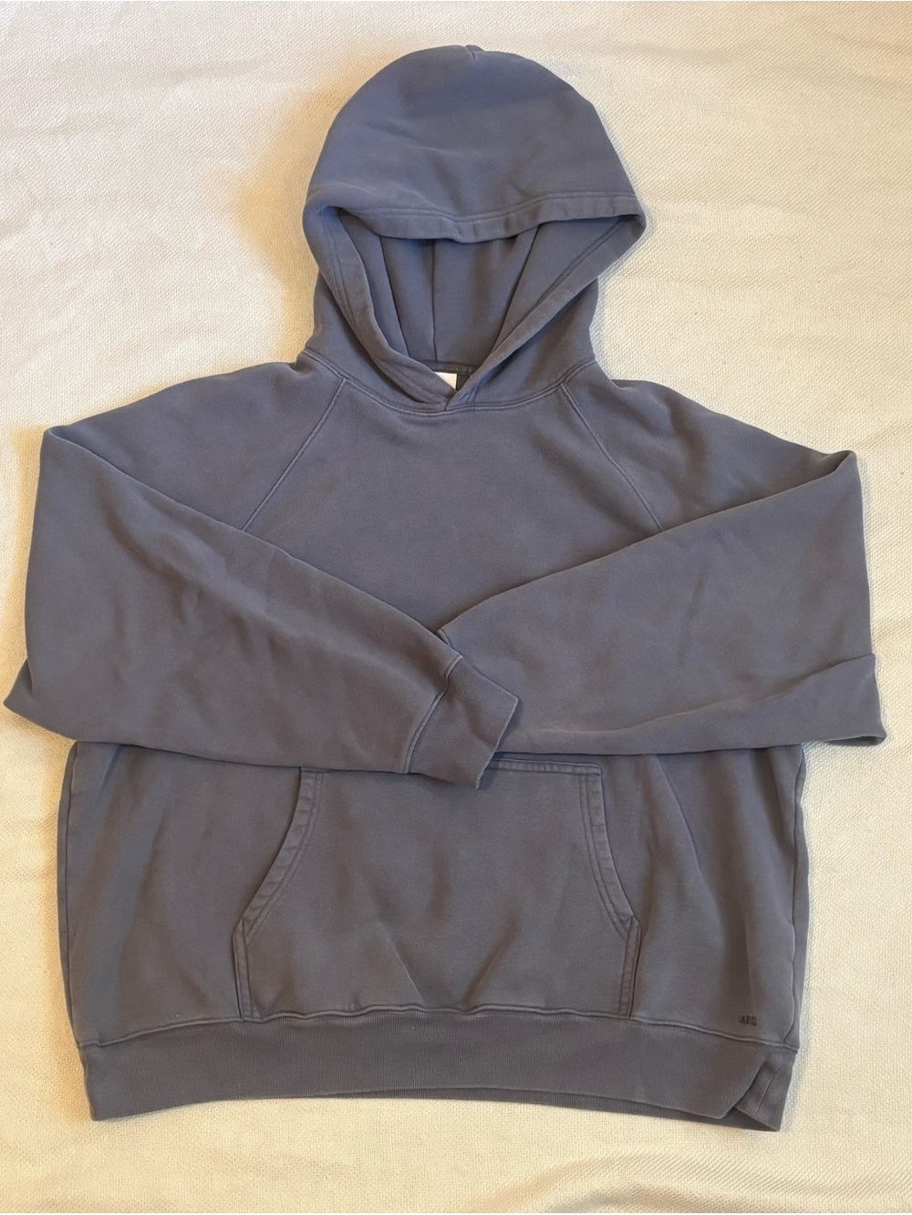 Aritzia Cozy Sweatfleece Mega Raglan Hoodie